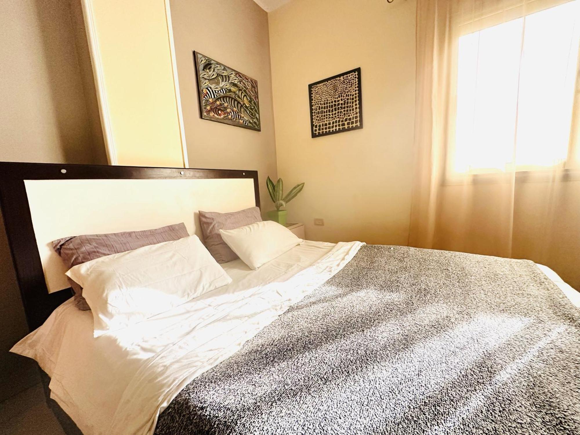 Zebra Apartments Hurghada Center Extérieur photo